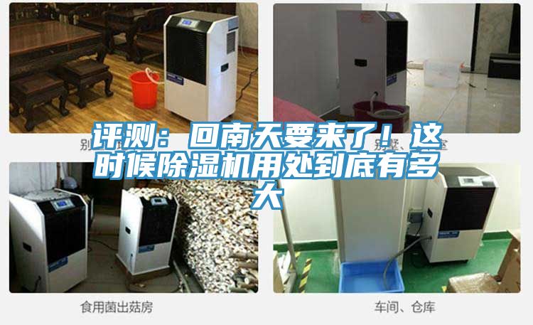 評測：回南天要來了！這時候小黄片软件免费下载用處到底有多大