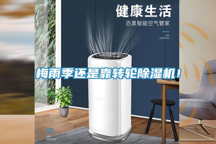 梅雨季還是靠轉輪小黄片软件免费下载！