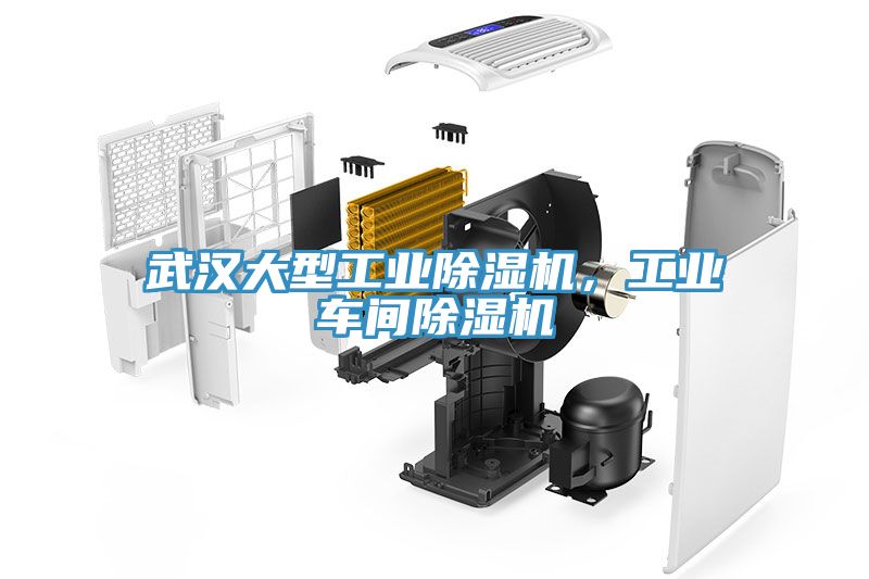 武漢大型工業小黄片软件免费下载，工業車間小黄片软件免费下载