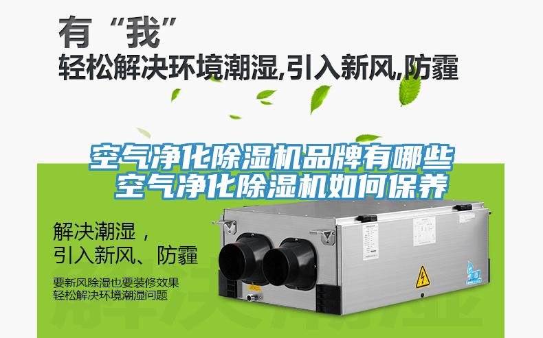 空氣淨化小黄片软件免费下载品牌有哪些 空氣淨化小黄片软件免费下载如何保養