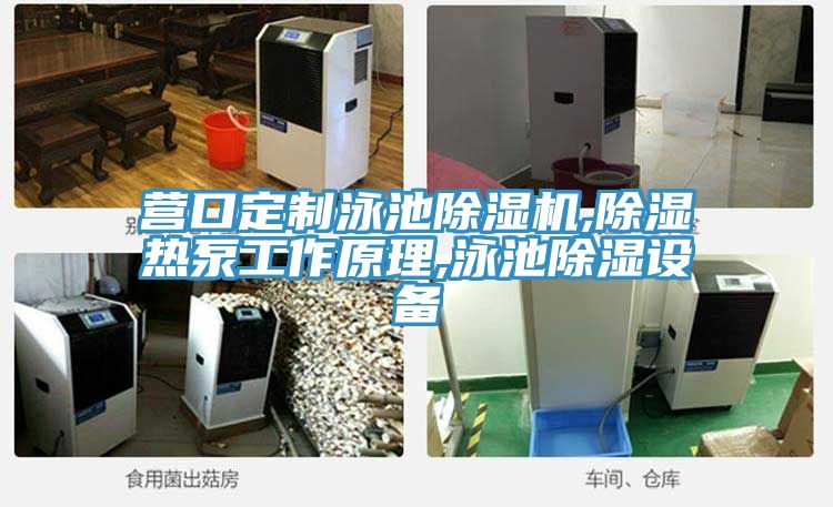 營口定製泳池小黄片软件免费下载,除濕熱泵工作原理,泳池除濕設備