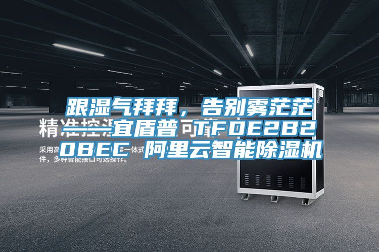 跟濕氣拜拜，告別霧茫茫——宜盾普 TFDE2B20BEC 阿裏雲智能小黄片软件免费下载