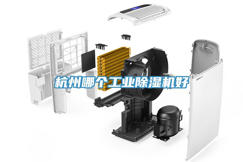 杭州哪個工業小黄片软件免费下载好