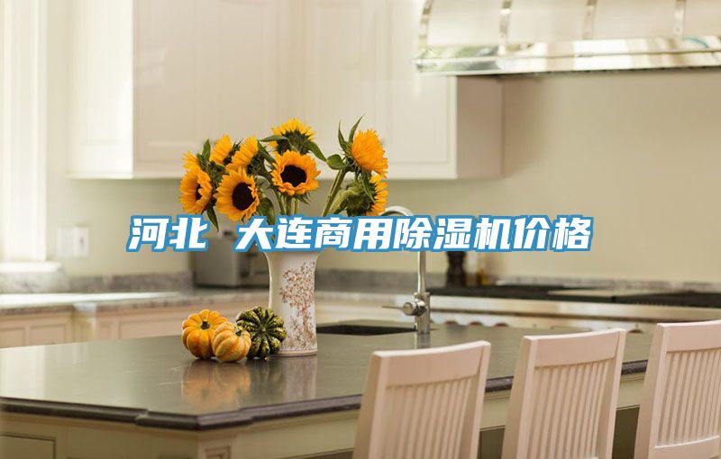 河北 大連商用小黄片软件免费下载價格