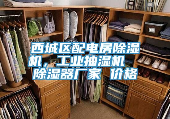 西城區配電房小黄片软件免费下载，工業抽濕機  除濕器廠家 價格