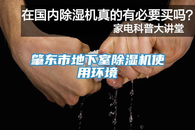 肇東市地下室小黄片软件免费下载使用環境