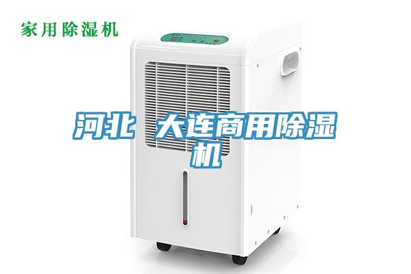 河北 大連商用小黄片软件免费下载