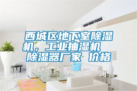 西城區地下室小黄片软件免费下载，工業抽濕機  除濕器廠家 價格
