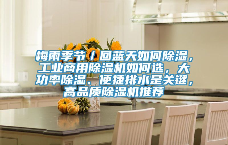梅雨季節／回藍天如何除濕，工業商用小黄片软件免费下载如何選，大功率除濕、便捷排水是關鍵，高品質小黄片软件免费下载推薦
