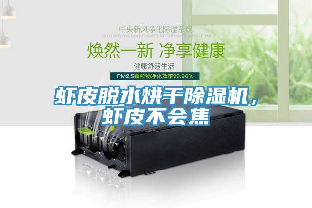 蝦皮脫水烘幹小黄片软件免费下载，蝦皮不會焦
