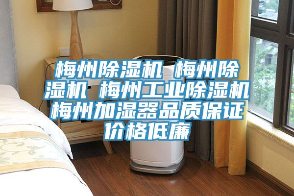 梅州小黄片软件免费下载☆梅州小黄片软件免费下载☆梅州工業小黄片软件免费下载☆梅州加濕器品質保證價格低廉