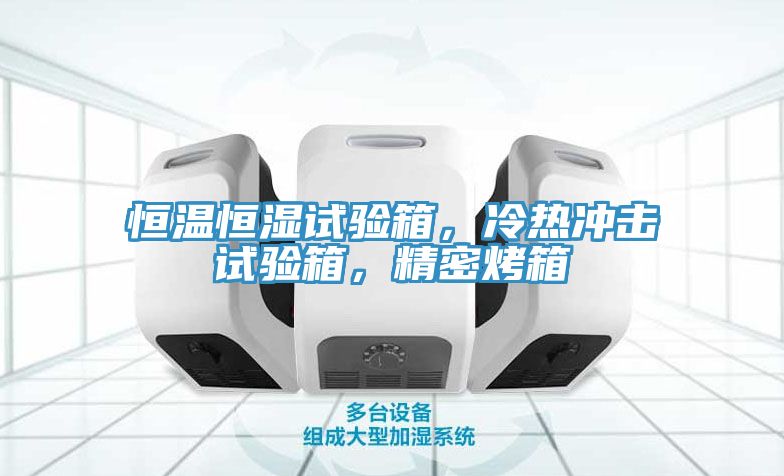 恒溫恒濕試驗箱，冷熱衝擊試驗箱，精密烤箱