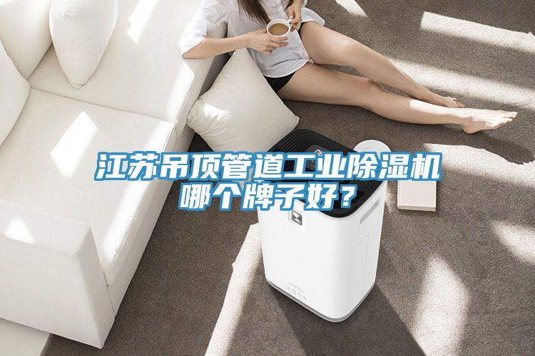 江蘇吊頂管道工業小黄片软件免费下载哪個牌子好？