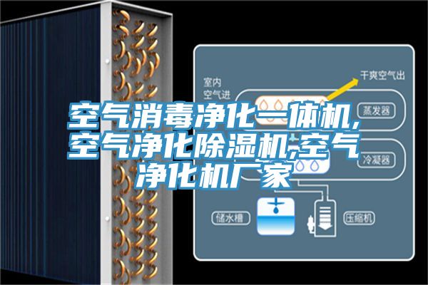 空氣消毒淨化一體機,空氣淨化小黄片软件免费下载,空氣淨化機廠家