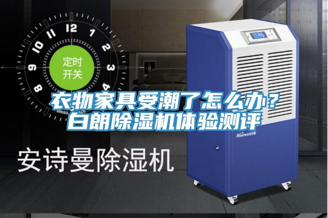衣物家具受潮了怎麽辦？白朗小黄片软件免费下载體驗測評