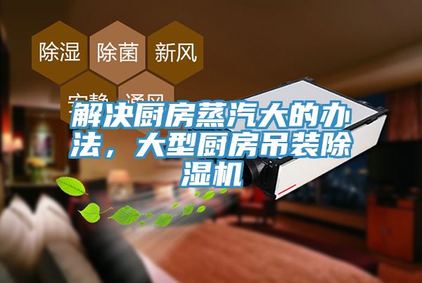 解決廚房蒸汽大的辦法，大型廚房吊裝小黄片软件免费下载