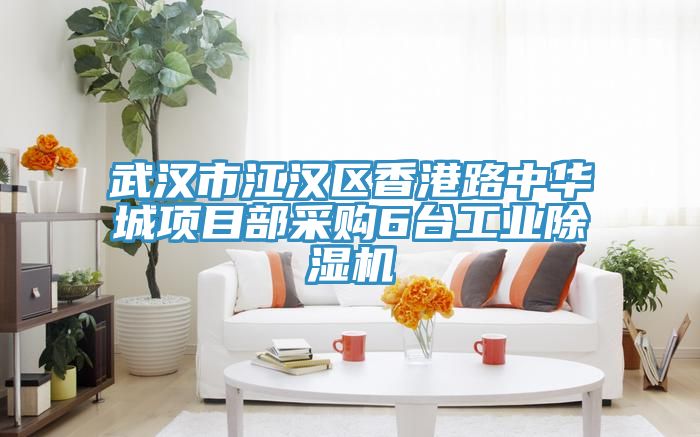 武漢市江漢區香港路中華城項目部采購6台工業小黄片软件免费下载