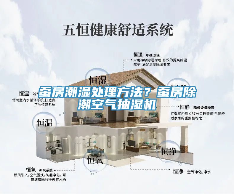 蠶房潮濕處理方法？蠶房除潮空氣抽濕機