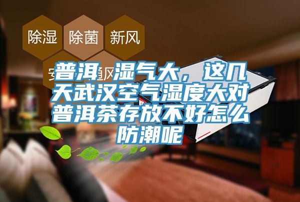 普洱 濕氣大，這幾天武漢空氣濕度大對普洱茶存放不好怎麽防潮呢