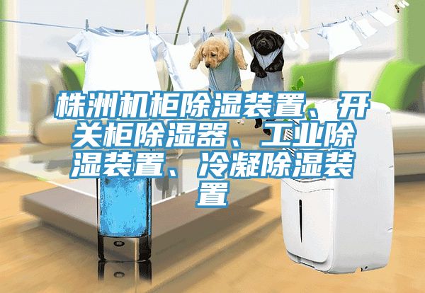 株洲機櫃除濕裝置、開關櫃除濕器、工業除濕裝置、冷凝除濕裝置