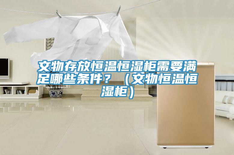 文物存放恒溫恒濕櫃需要滿足哪些條件？（文物恒溫恒濕櫃）