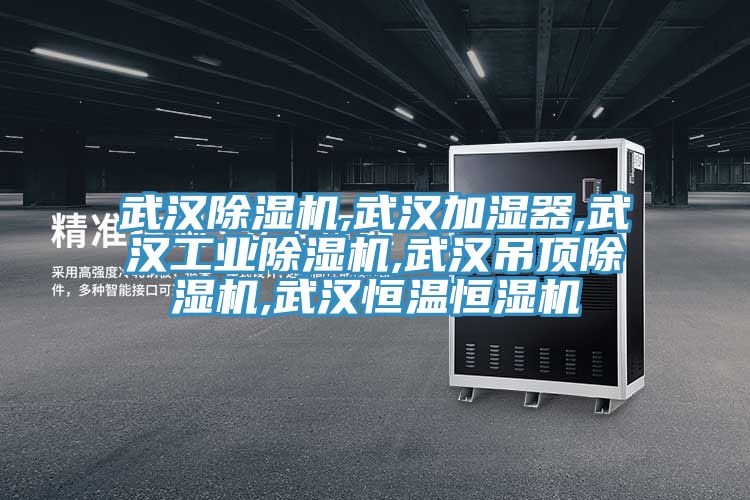 武漢小黄片软件免费下载,武漢加濕器,武漢工業小黄片软件免费下载,武漢吊頂小黄片软件免费下载,武漢恒溫恒濕機