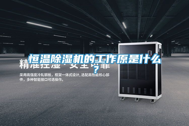 恒溫小黄片软件免费下载的工作原是什麽？