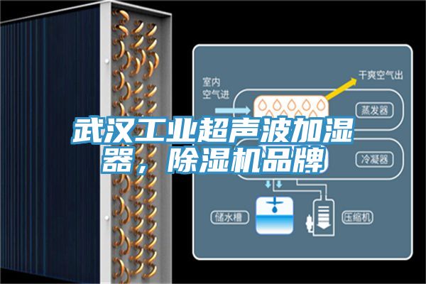 武漢工業超聲波加濕器，小黄片软件免费下载品牌
