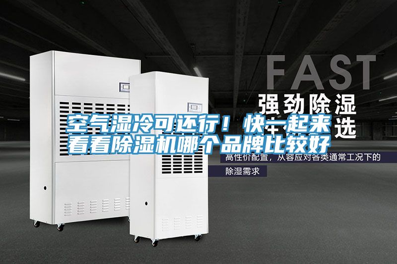 空氣濕冷可還行！快一起來看看小黄片软件免费下载哪個品牌比較好