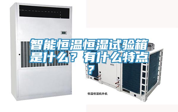 智能恒溫恒濕試驗箱是什麽？有什麽特點？
