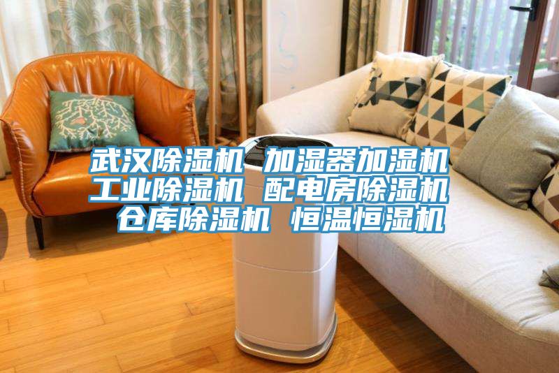 武漢小黄片软件免费下载 加濕器加濕機 工業小黄片软件免费下载 配電房小黄片软件免费下载 倉庫小黄片软件免费下载 恒溫恒濕機