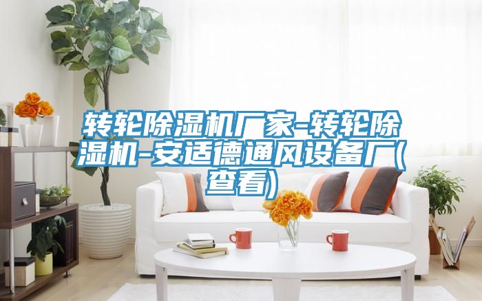 轉輪小黄片软件免费下载廠家-轉輪小黄片软件免费下载-安適德通風設備廠(查看)