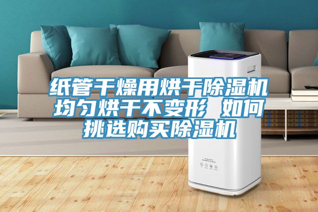 紙管幹燥用烘幹小黄片软件免费下载均勻烘幹不變形 如何挑選購買小黄片软件免费下载