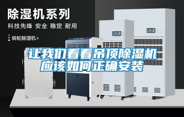 讓小黄片怎么下载看看吊頂小黄片软件免费下载應該如何正確安裝