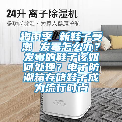 梅雨季 新鞋子受潮 發黴怎麽辦？發黴的鞋子該如何處理？電子防潮箱存儲鞋子成為流行時尚