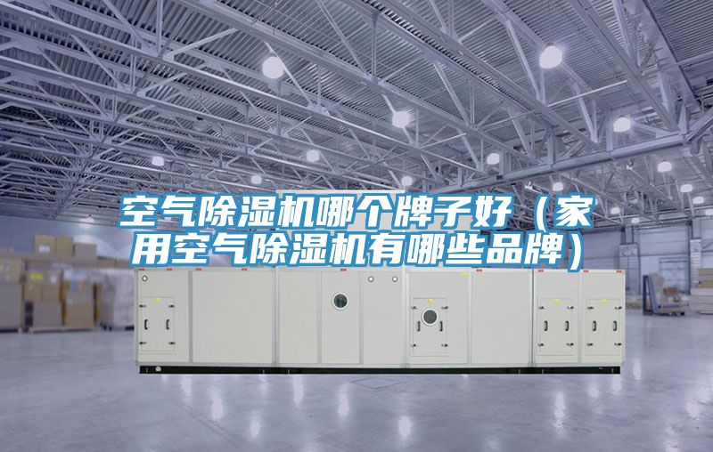 空氣小黄片软件免费下载哪個牌子好（家用空氣小黄片软件免费下载有哪些品牌）