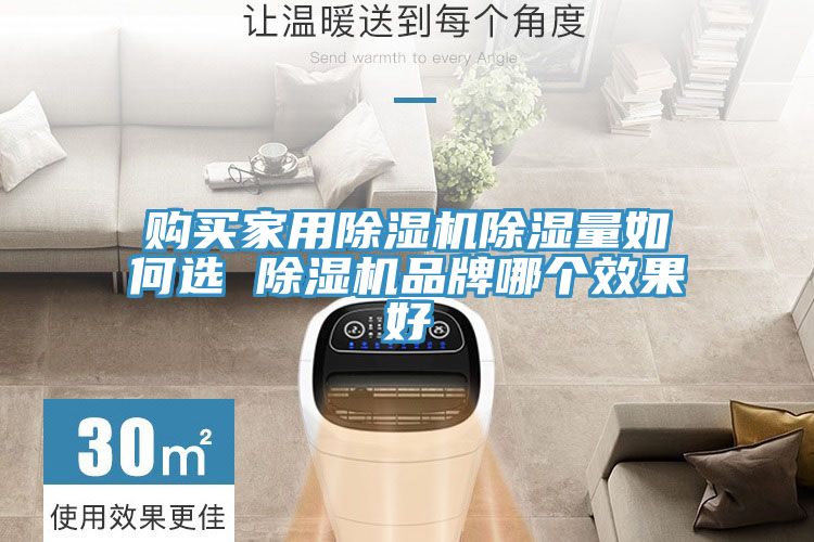 購買家用小黄片软件免费下载除濕量如何選 小黄片软件免费下载品牌哪個效果好