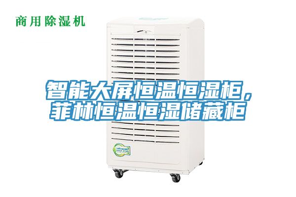 智能大屏恒溫恒濕櫃，菲林恒溫恒濕儲藏櫃