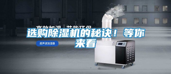 選購小黄片软件免费下载的秘訣！等你來看