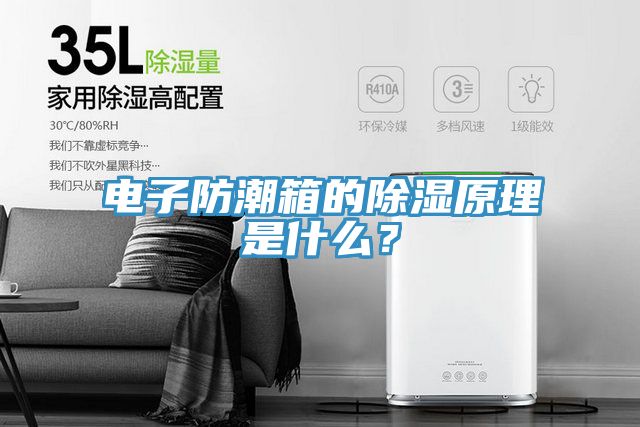 電子防潮箱的除濕原理是什麽？