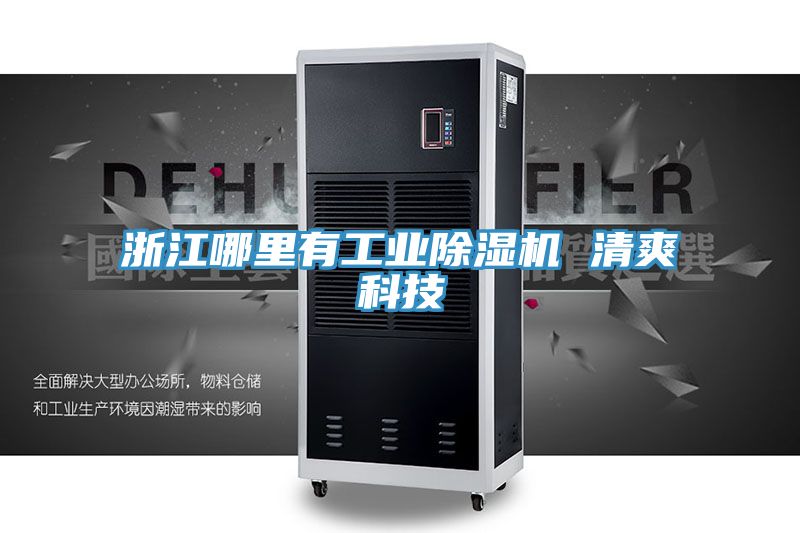 浙江哪裏有工業小黄片软件免费下载 清爽科技