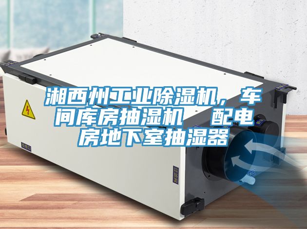 湘西州工業小黄片软件免费下载，車間庫房抽濕機  配電房地下室抽濕器