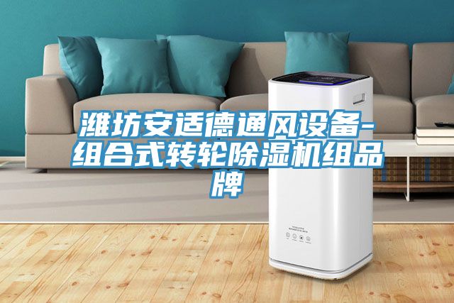 濰坊安適德通風設備-組合式轉輪小黄片软件免费下载組品牌