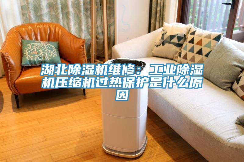 湖北小黄片软件免费下载維修：工業小黄片软件免费下载壓縮機過熱保護是什麽原因