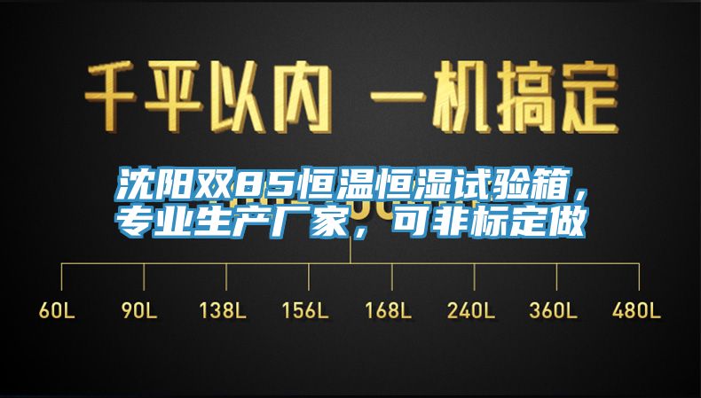 沈陽雙85恒溫恒濕試驗箱，專業生產廠家，可非標定做