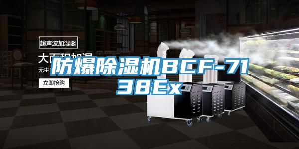 防爆小黄片软件免费下载BCF-7138Ex