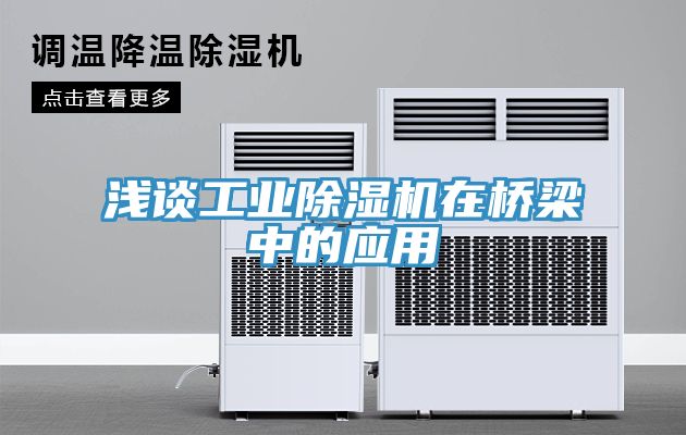 淺談工業小黄片软件免费下载在橋梁中的應用