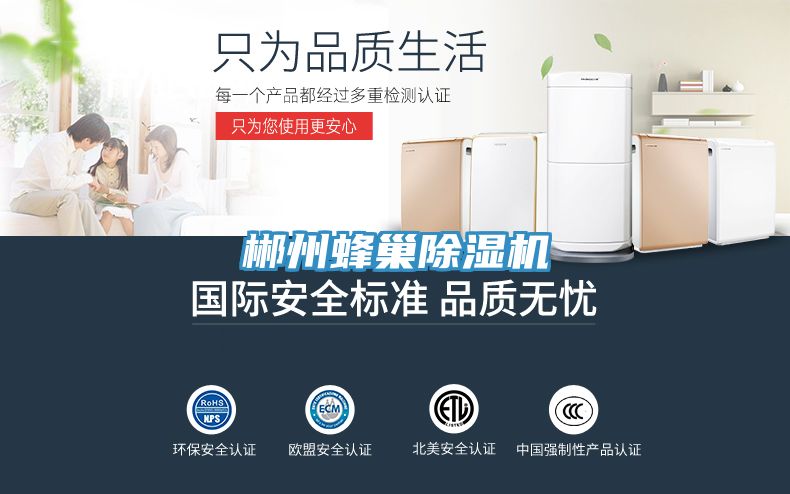 郴州蜂巢小黄片软件免费下载