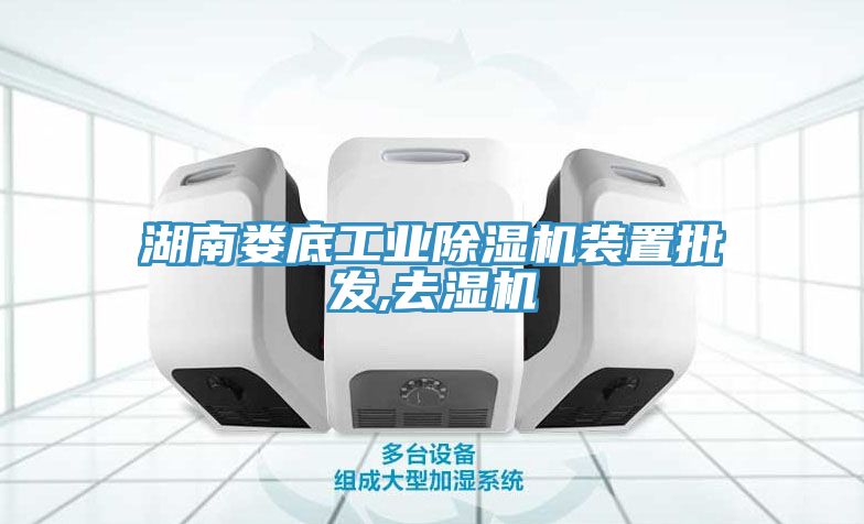 湖南婁底工業小黄片软件免费下载裝置批發,去濕機