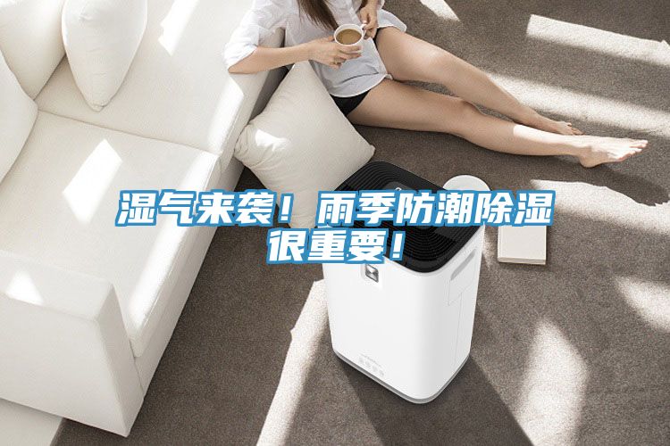 濕氣來襲！雨季防潮除濕很重要！